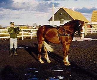 Llanarth Cadfael